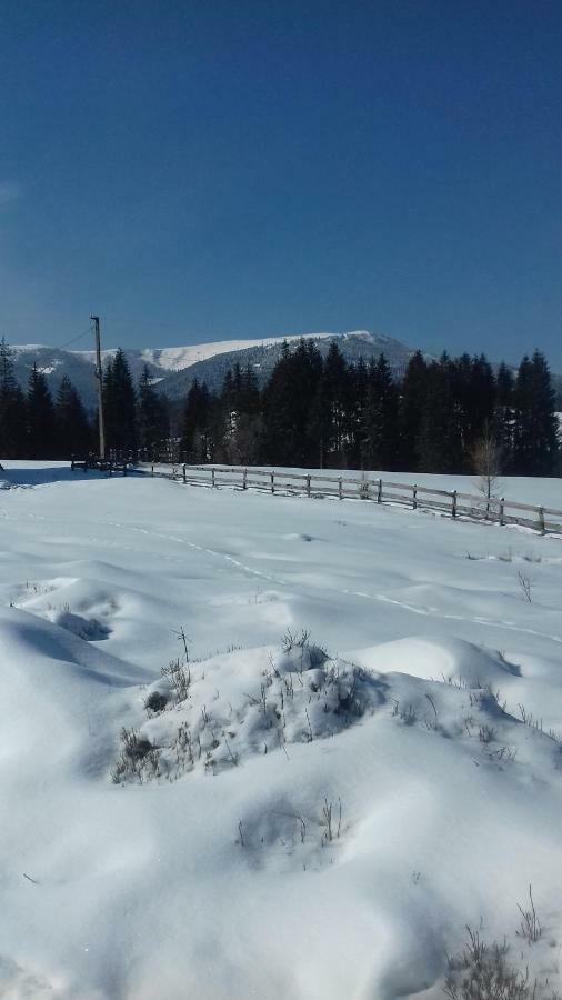 Casa Nico Nelu Duplex Hotel Arieseni Bagian luar foto